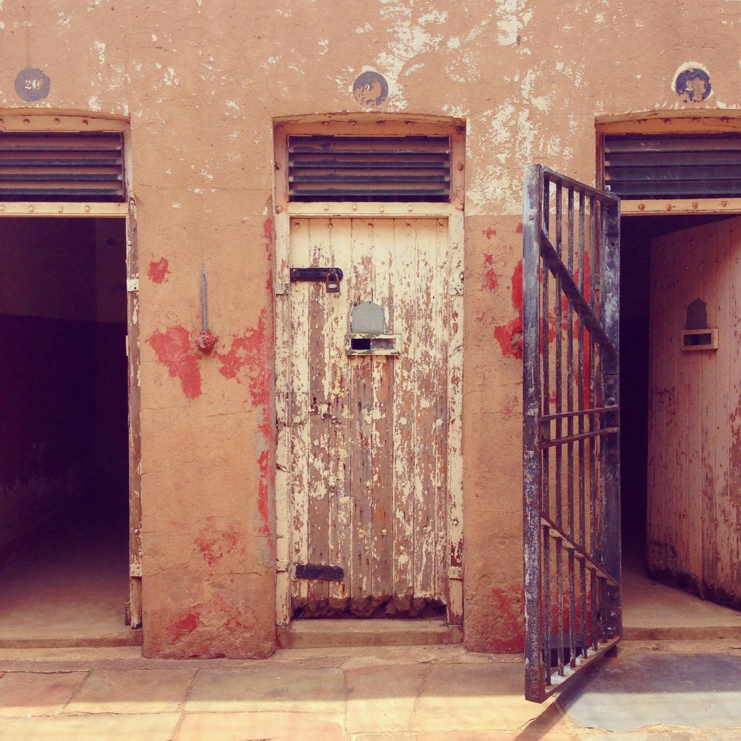 (Photo by Laura McTighe)